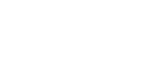 nicoletti.png